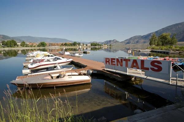 Know Your Level: Renting Skis Made Simple